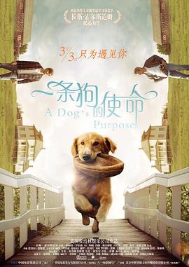 欲望小姐